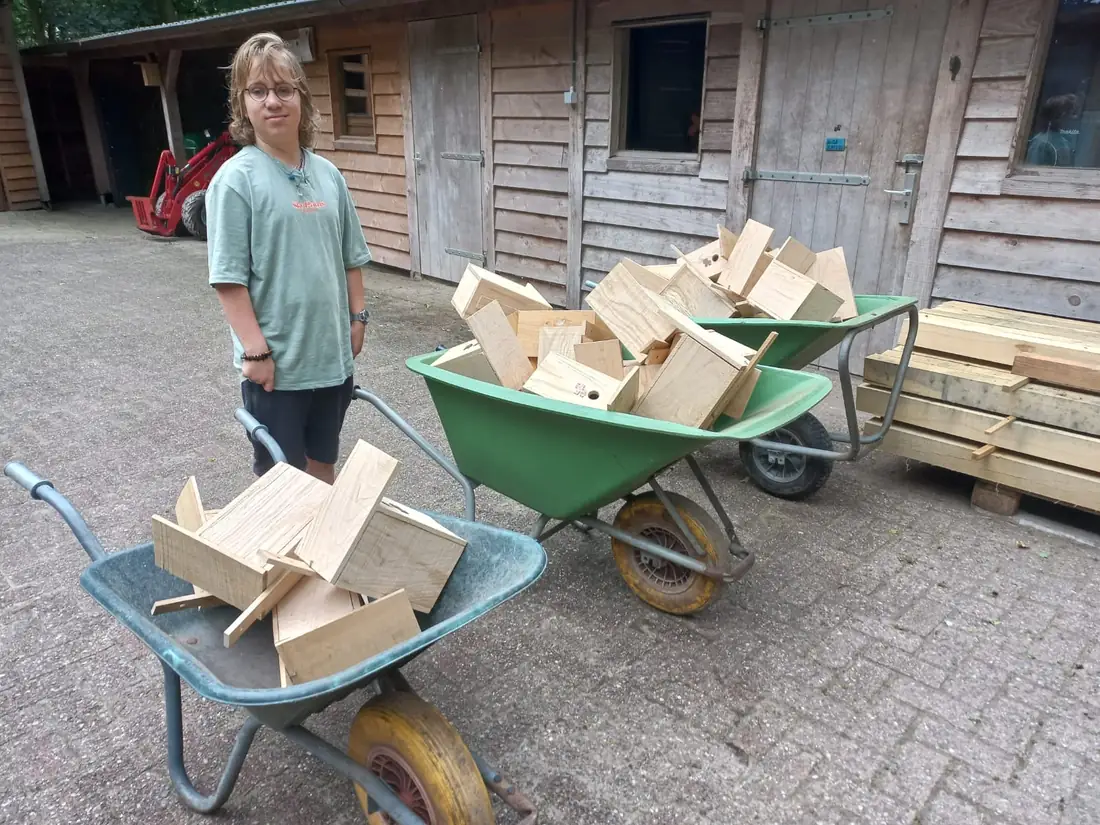Jace met twee kruiwagens vol houten onderdelen