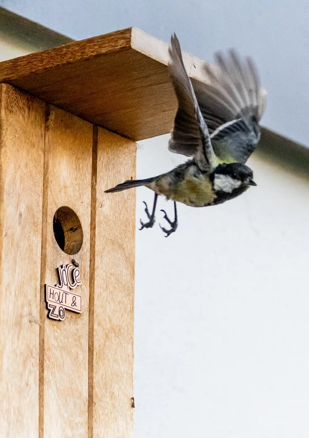 Koolmees vliegt weg van een vogelhuisje
